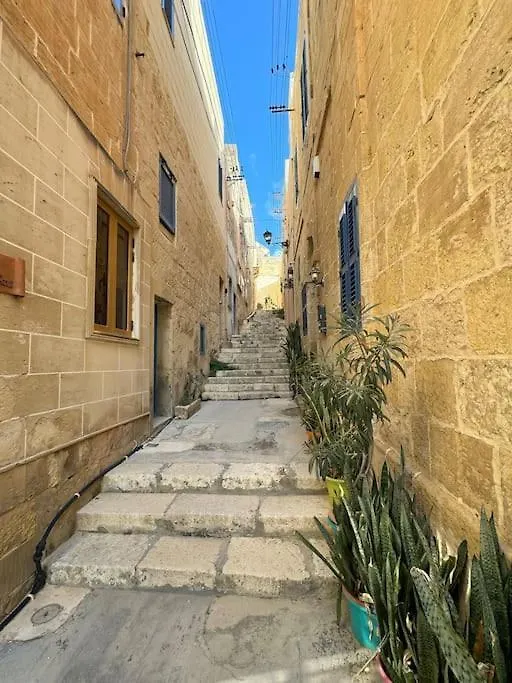 Villa Vera With Private Pool Near Valletta Pieta